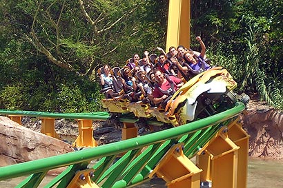 Busch Gardens Tampa